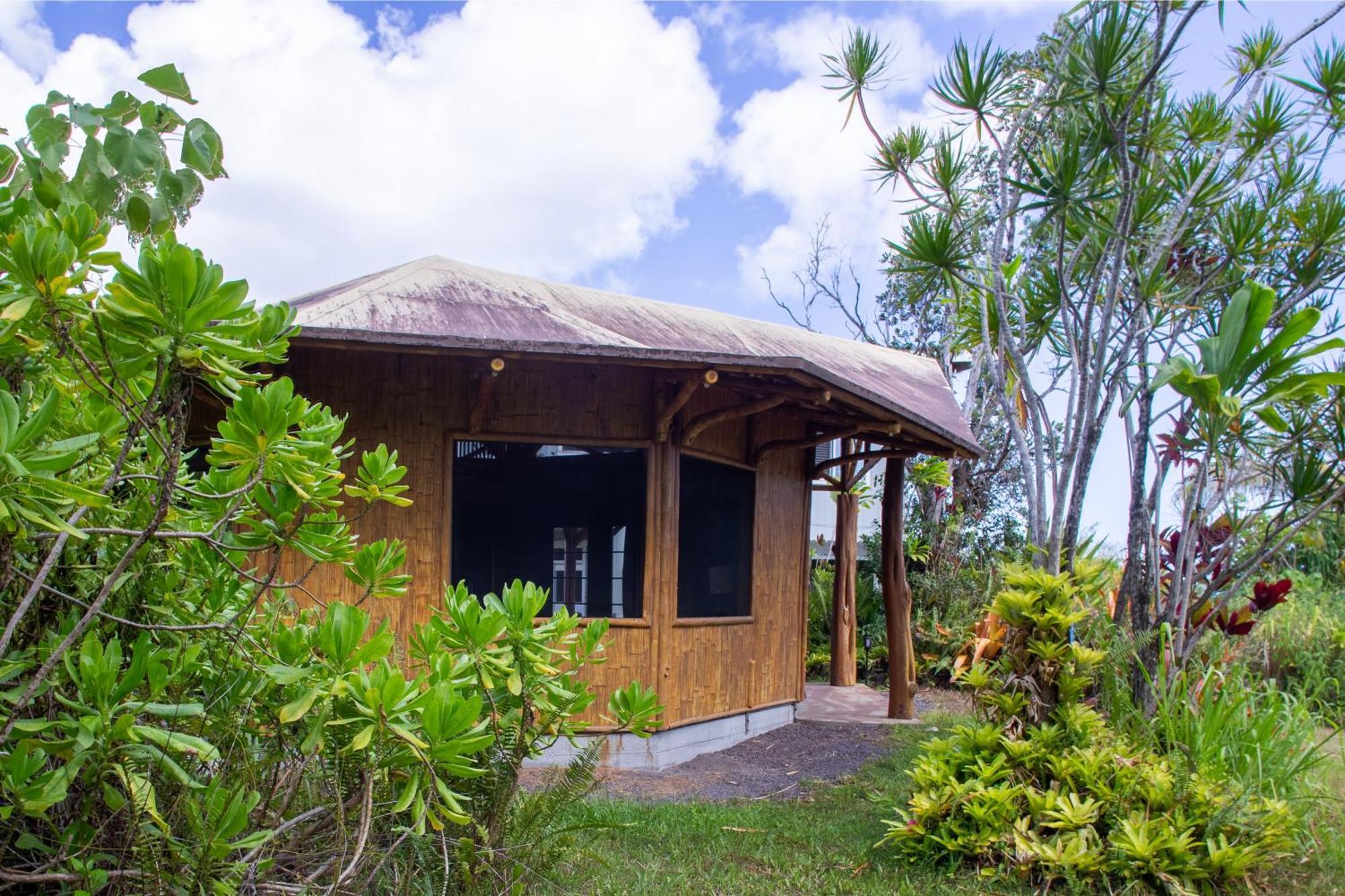 Villa Kalani Oceanside Retreat Pahoa Exterior foto