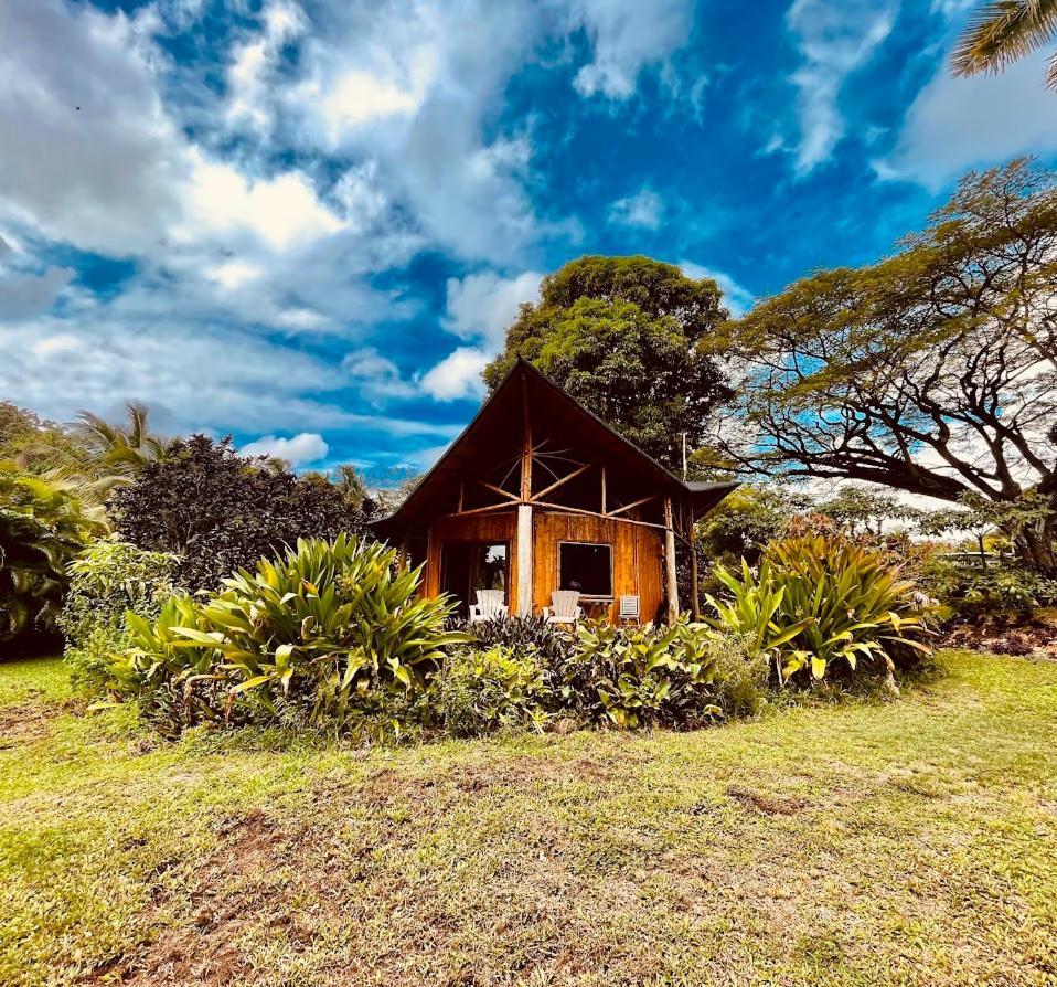 Villa Kalani Oceanside Retreat Pahoa Exterior foto
